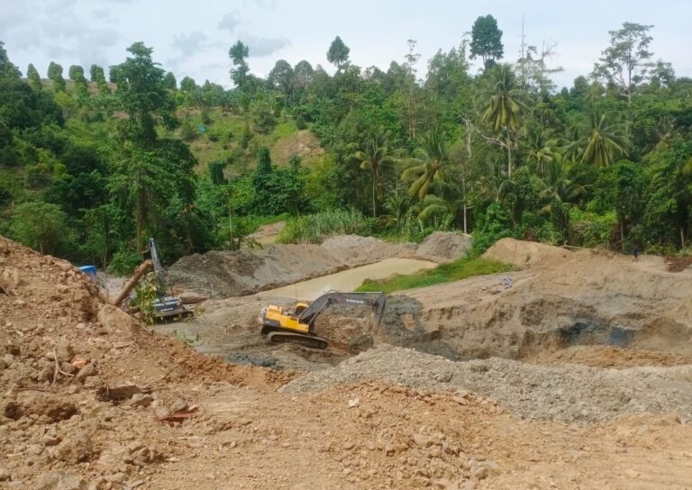 Lahan IPR di Desa Buranga, Kecamatan Ampibabo, Kabupaten Parimo